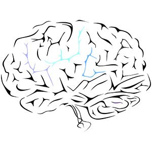 Brain-storm-line-drawing-icon-12-10-17